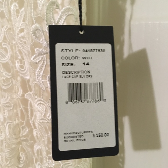 Brand new Adrianna Papell white lace dress - Picture 6 of 6